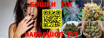 тгк Будённовск